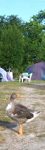 Country campsite